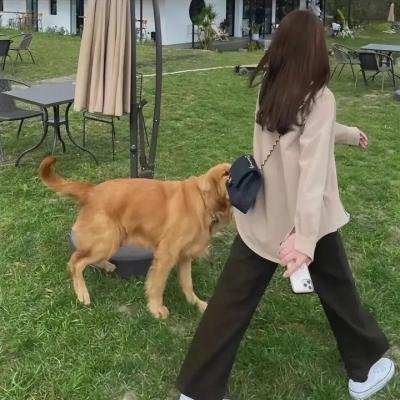 黑蟹行动：无尽寒冬